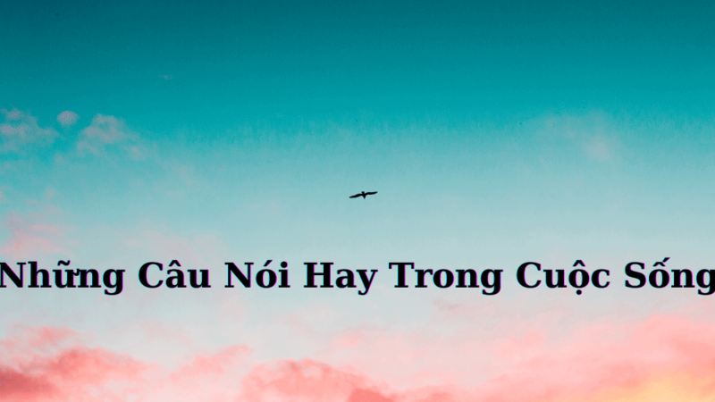 Những Câu Nói Hay Trong Cuộc Sống