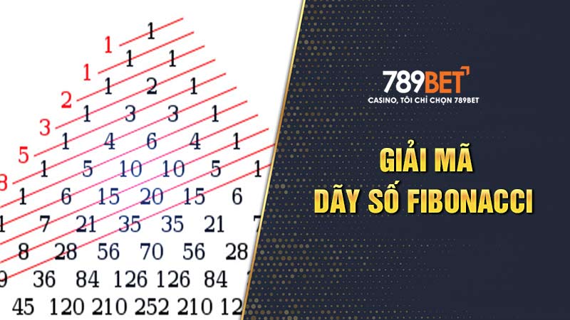 Giải Mã Chiến Thuật Fibonacci Từ Cao Thủ Cá Độ Bóng Đá