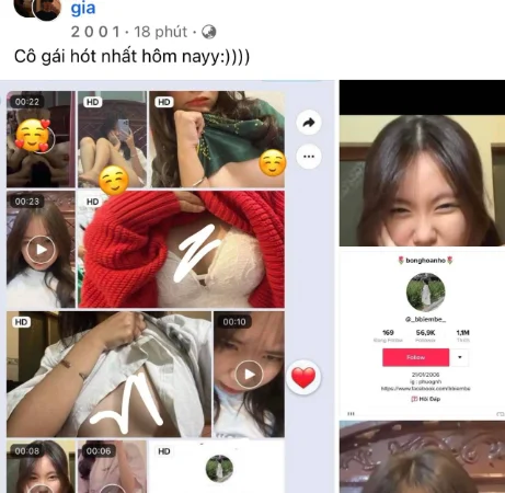 TikToker BongHoaNho (@_bbiembe_ ) Lộ Quan Hệ Với Bạn Trai