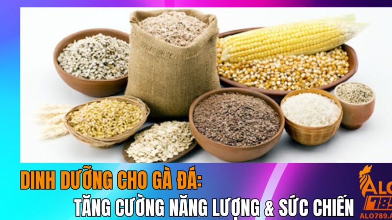 Tăng Cường Năng Lượng & Sức Chiến