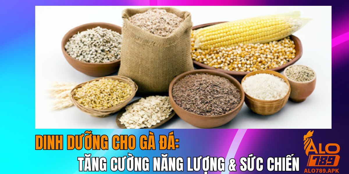 Tăng Cường Năng Lượng & Sức Chiến