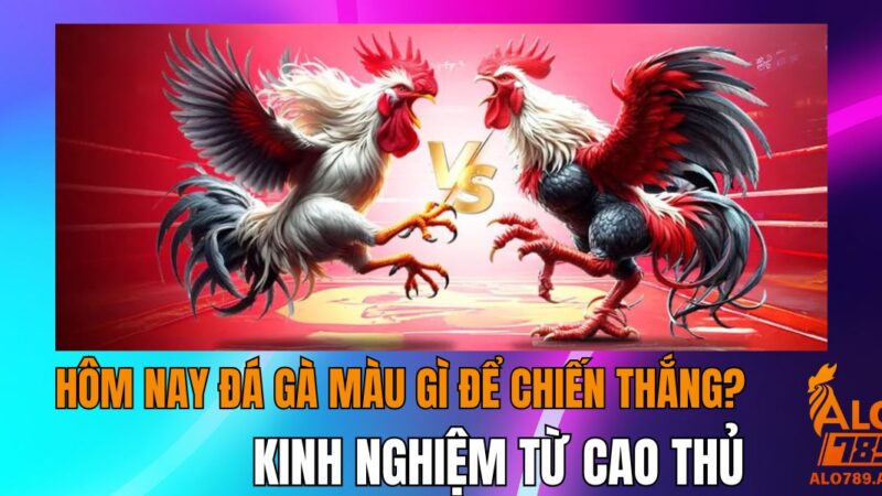 Hôm Nay Đá Gà Màu Gì Để Chiến Thắng? Kinh Nghiệm Từ Cao Thủ