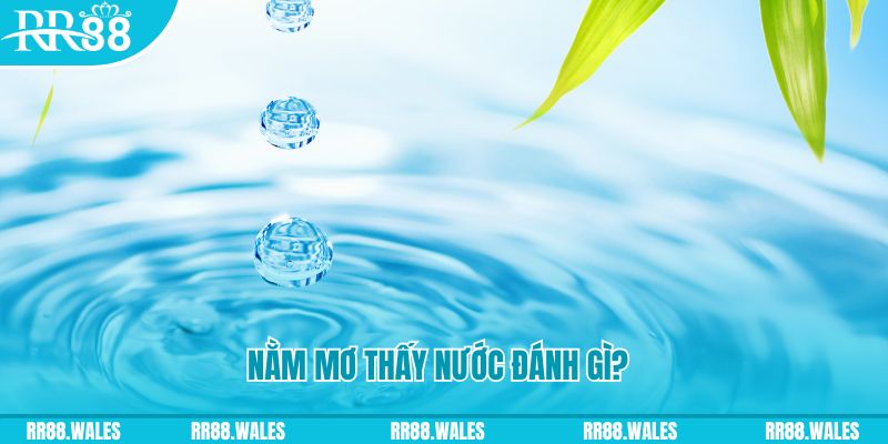 Nằm Mơ Thấy Nước Đánh Gì Để Trúng Lớn Tại RR88
