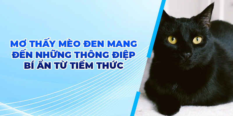 Mơ Thấy Mèo Đen – Cùng RR88 Vén Màn Bí Ẩn Đằng Sau Giấc Mộng