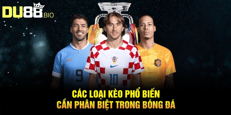 Cách Tính Tiền Thắng Thua Cá Độ Bóng Đá Chuẩn Xác Từ DU88