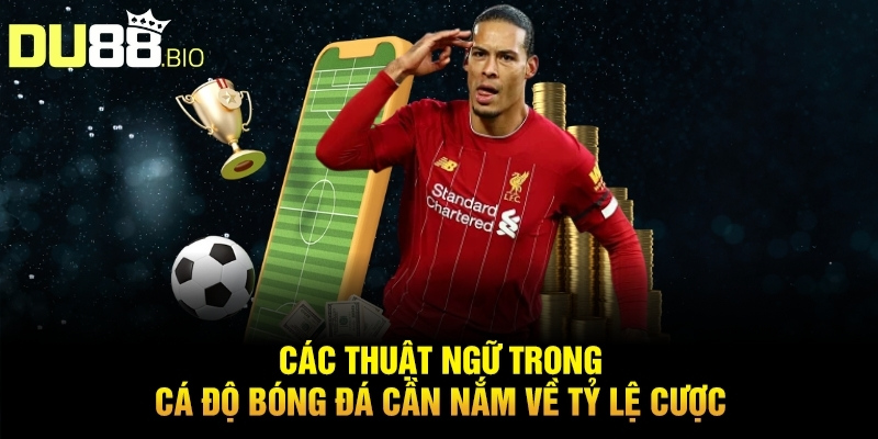 Các Thuật Ngữ Trong Cá Độ Bóng Đá Phổ Biến Mà Bạn Cần Nắm