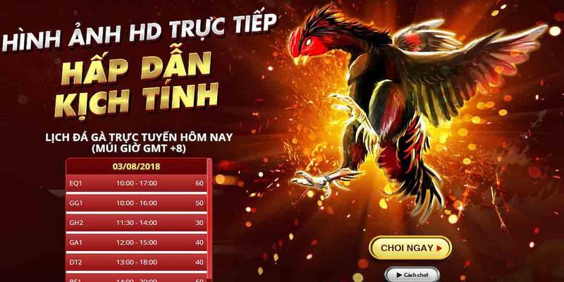 Đá Gà Trực Tiếp – Khám Phá Nền Tảng Giải Trí # 1 Châu Á