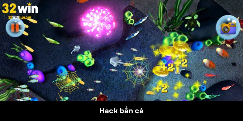 Hack Bắn Cá Là Gì? Hé Lộ Sự Thật Cược Thủ Cần Biết 2025