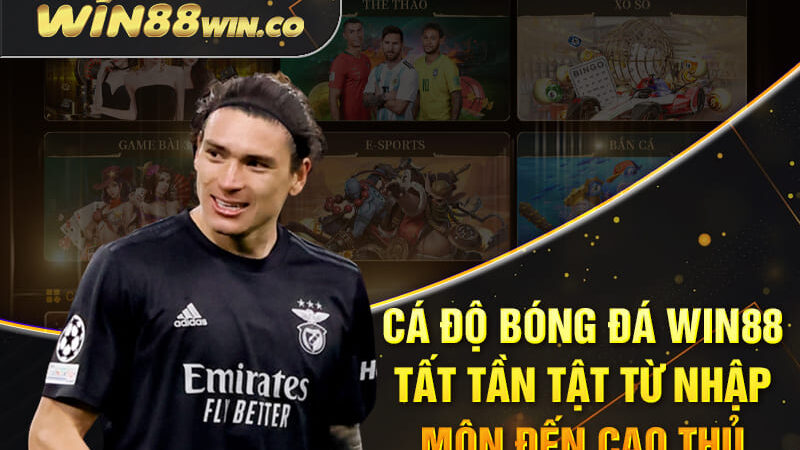 Cá Độ Bóng Đá Win88